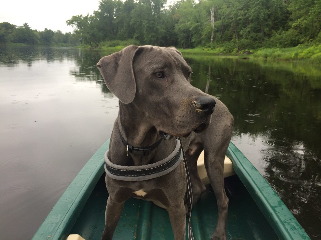 Katahdin Woods & Waters:  Worth Keeping